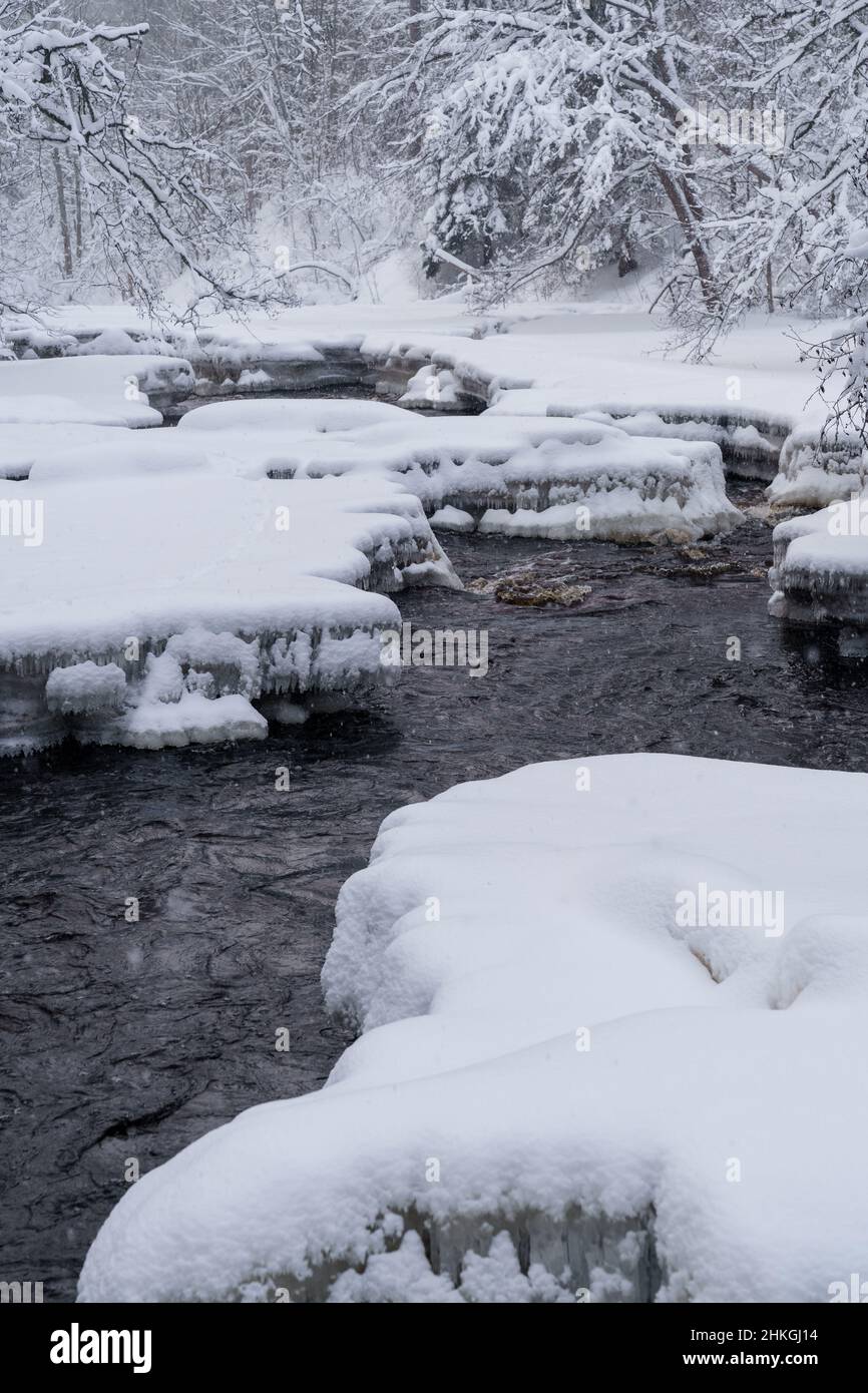 Rapid raging river flowing through snowy forest on cold winter gloomy ...