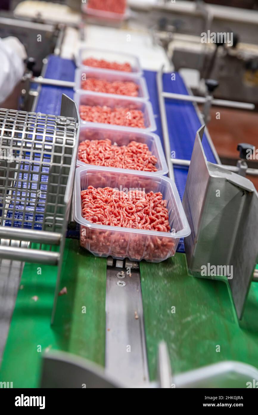 Forming from minced meat for packing. Line for the production of semi