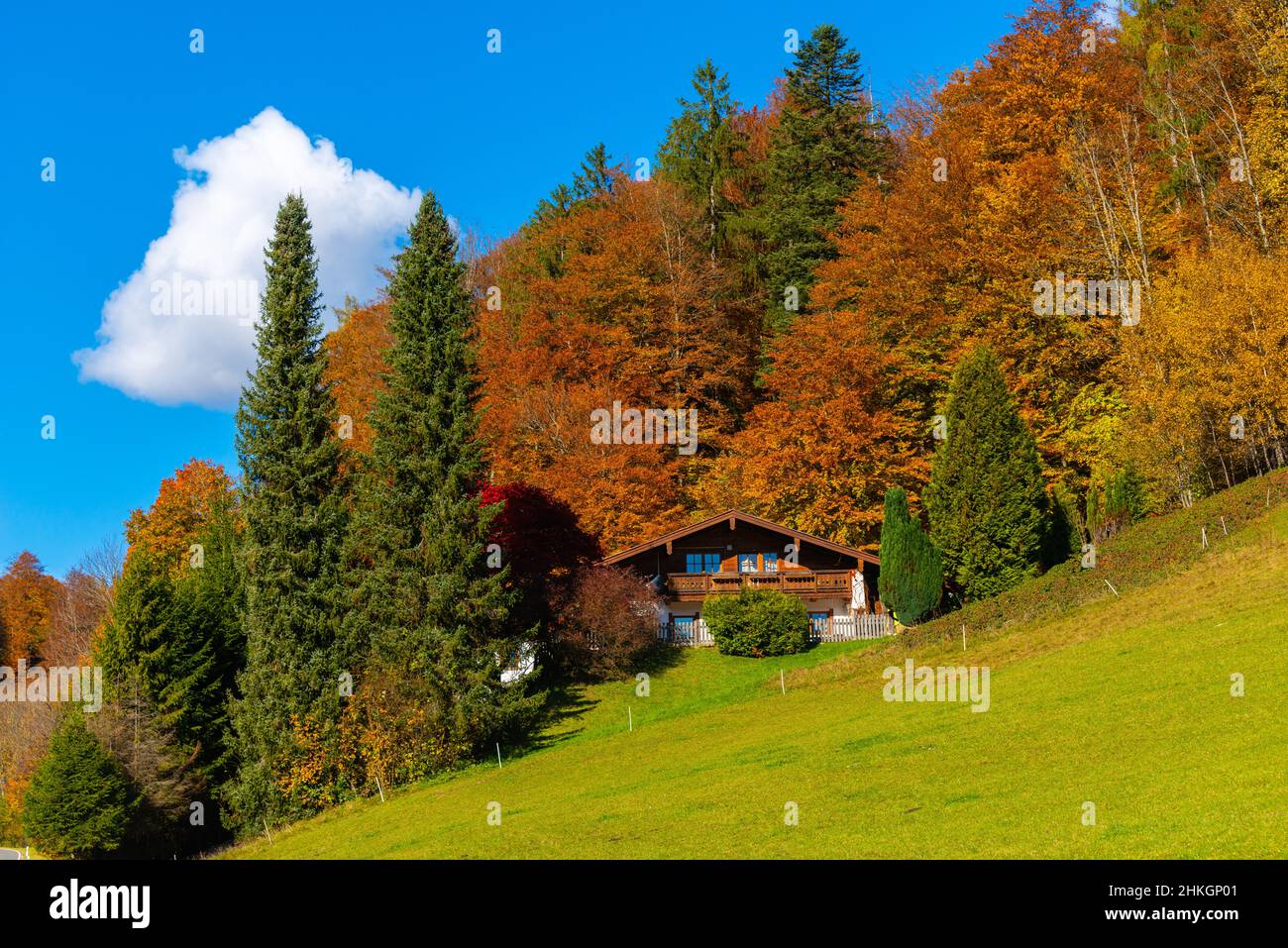Alongside the Alpenstrasse near Ramsau, Berchtesgadener Land, Bavarian Alps, Upper Bavaria, Southern Germany, Central Europe Stock Photo