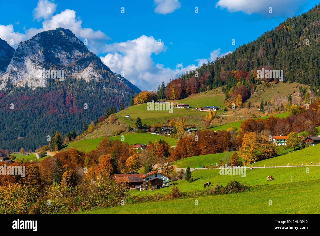 Alongside the Alpenstrasse near Ramsau, Berchtesgadener Land, Bavarian Alps, Upper Bavaria, Southern Germany, Central Europe Stock Photo