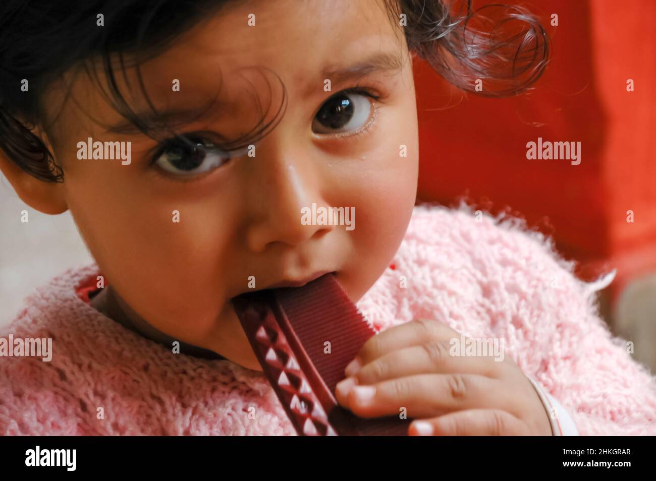 A portrait of an East Indian baby boy / child / kid showing signs of teething by chewing on a plastic comb. Stock Photo