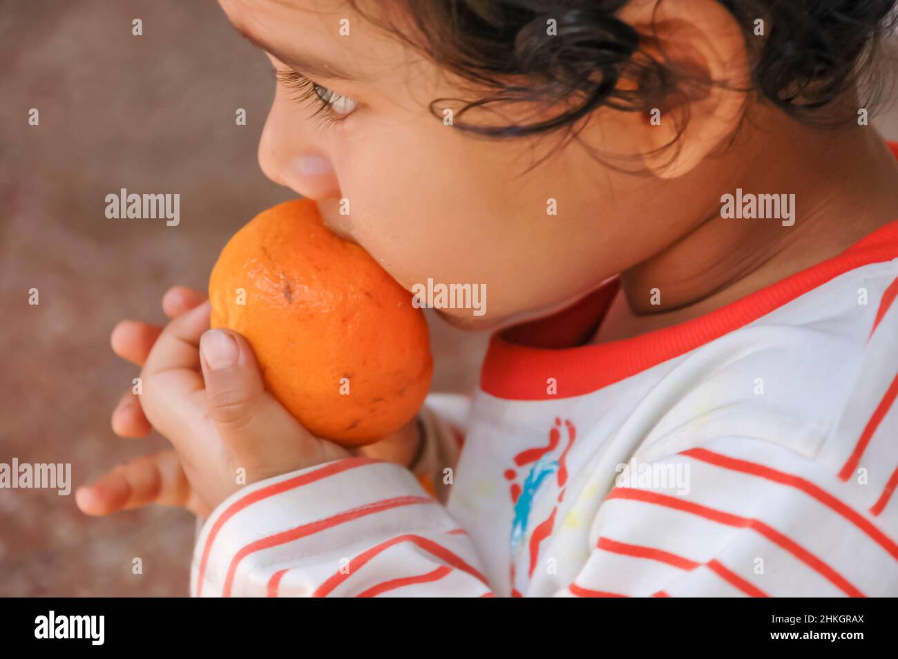 A portrait of an East Indian baby boy / child / kid showing signs of teething by chewing on an orange. Stock Photo