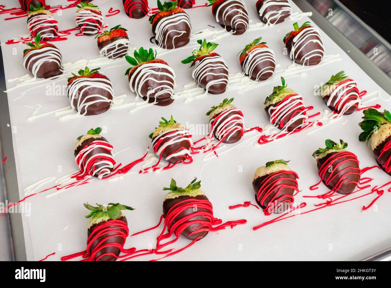 Making Chocolate Covered Strawberries and Pineberries: Freshly made candied berries on a parchment paper lined sheet pan Stock Photo
