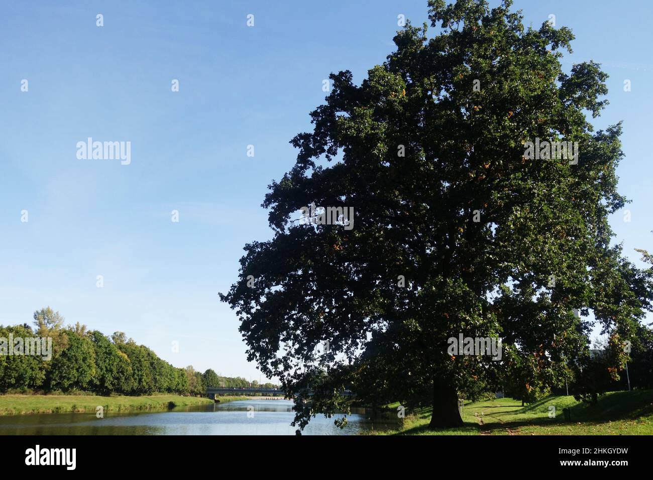 Summer trees river hi-res stock photography and images - Alamy