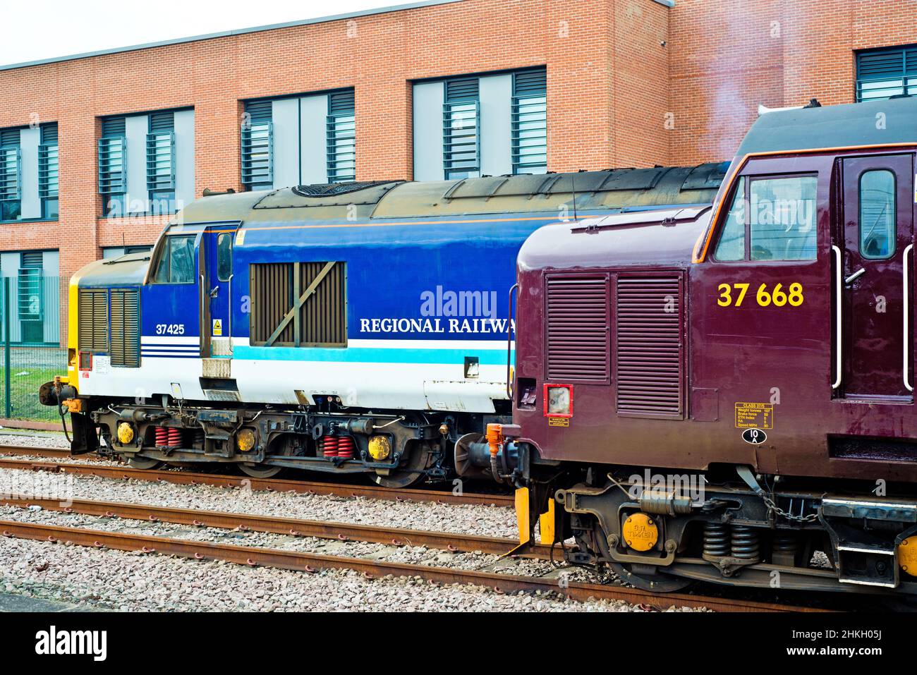 Regional Railways Class 37 425 locomotive and West Coast Railways class 37668 locomotive stabled at York railway station, York, England Stock Photo