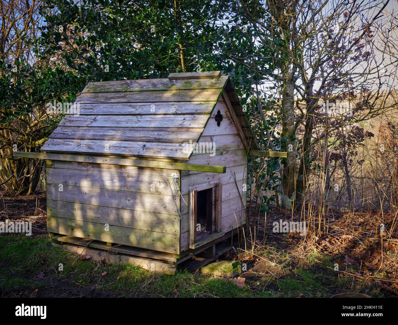 For free range chickens, this chicken house is set in a woodland area on the North Yorkshire smallholding Stock Photo