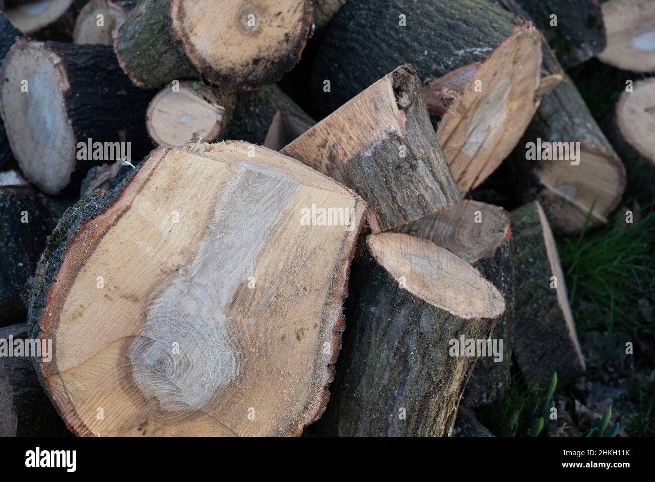 Pieces of chopped wood in a pile, showing the wood grain. Concept of