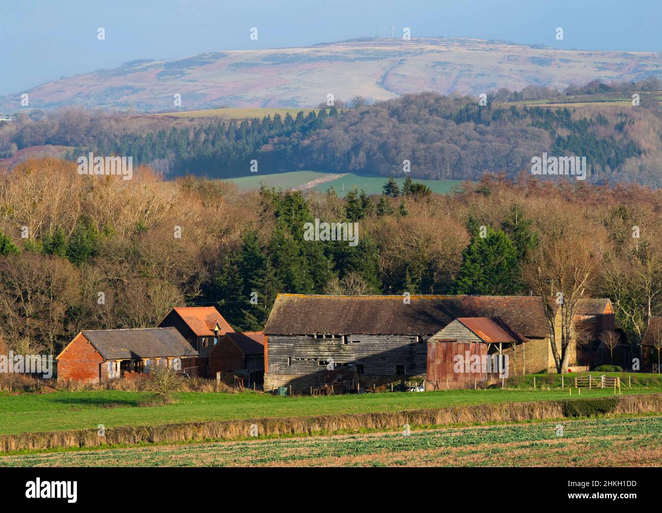 An old barn at Bromfield, with Brown Clee Hill on the horizon, Shropshire. Stock Photo