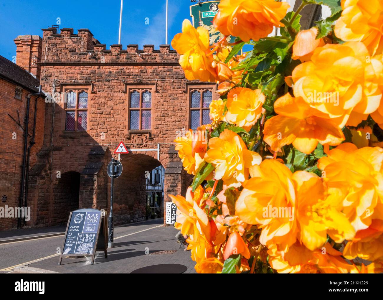 Flowers beside the Northgate Museum, Bridgnorth, Shropshire. Stock Photo