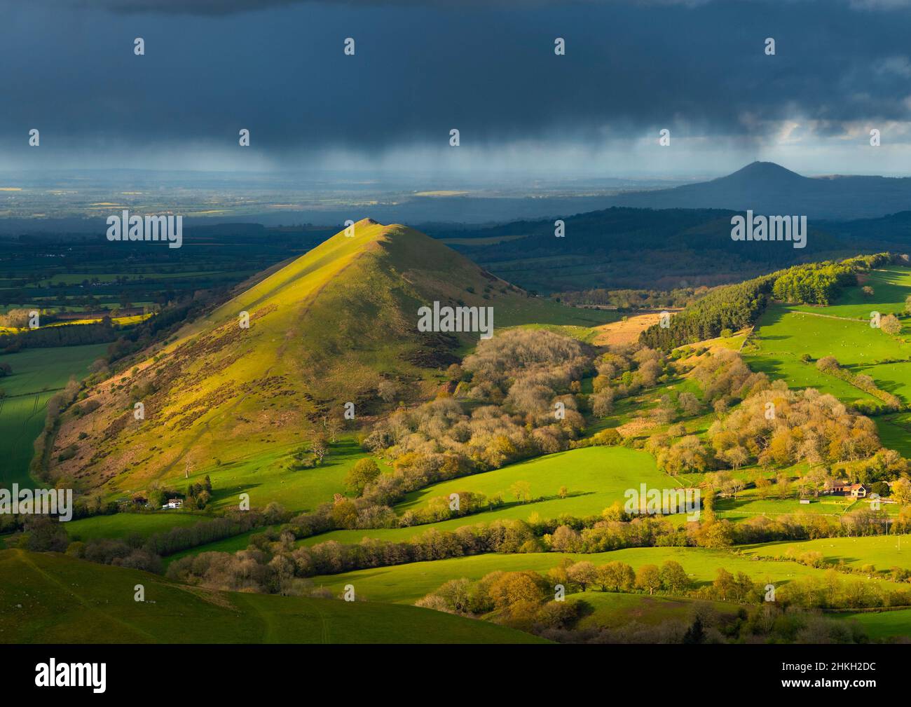 Evening light on the Lawley Hill, seen from Caer Caradoc, with the Wrekin in shadow on the horizon, Shropshire. Stock Photo