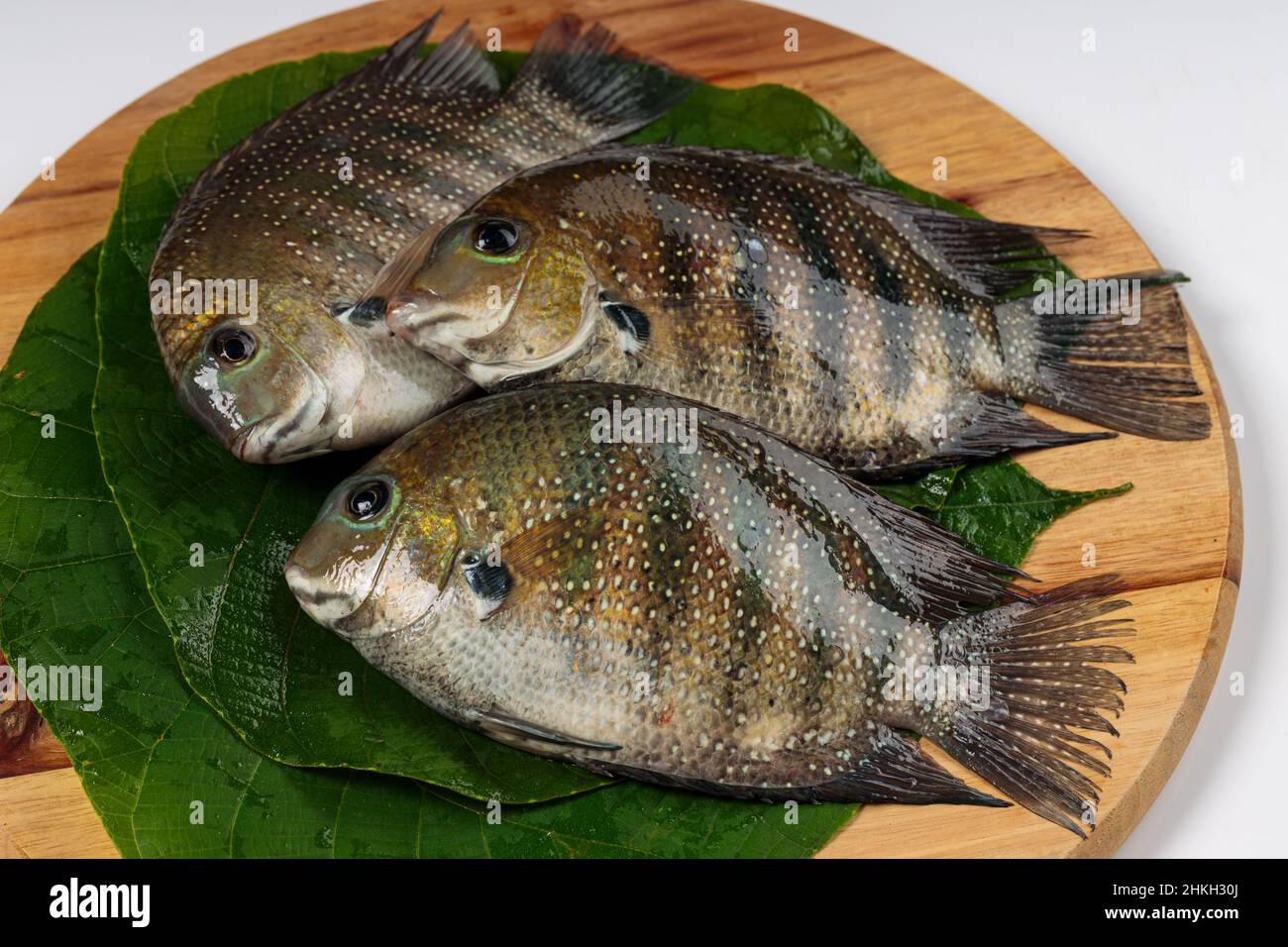 Fresh raw Kari meen Pearl spot fish arranged in a Macaranga peltata leaf or vattayila placed on wooden base. Stock Photo