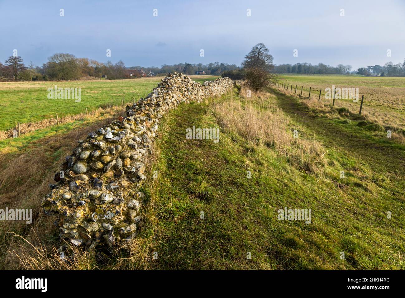 Along the ruined defensive wall of Venta Icenorum the site of the Roman capital of Norfolk, England Stock Photo