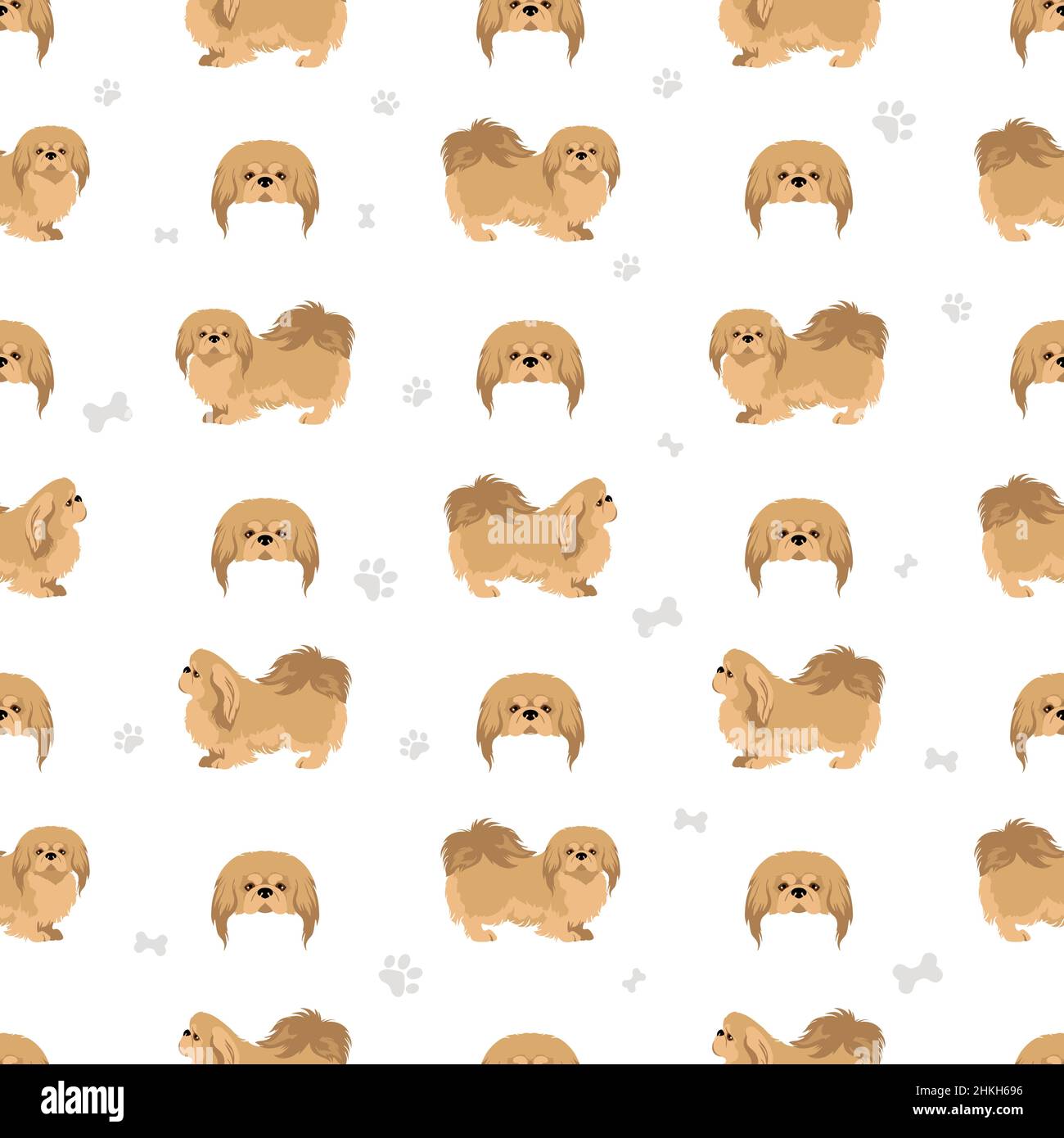 Pekingese dog seamless pattern. Different poses, coat colors set.  Vector illustration Stock Vector