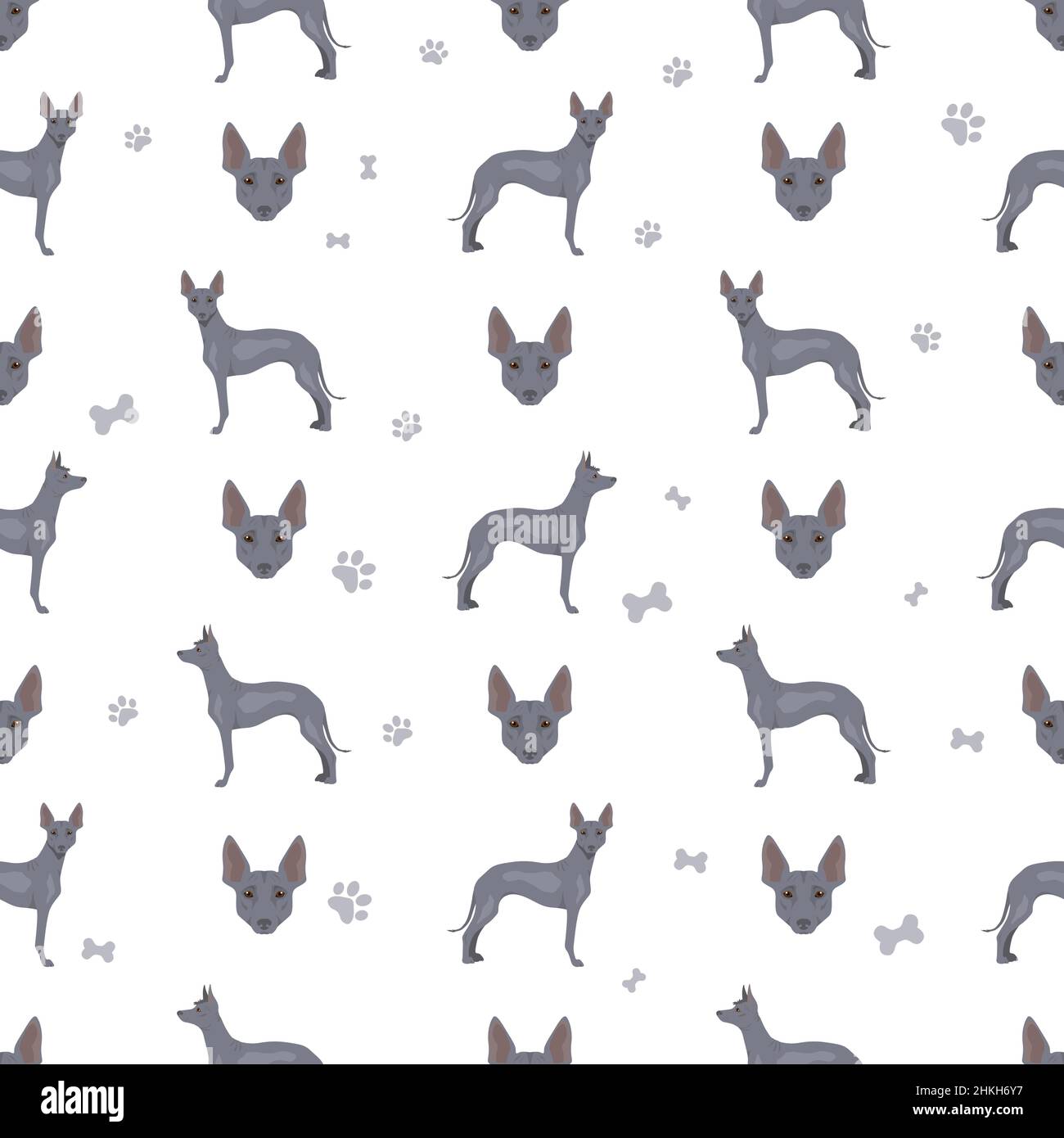 Peruvian hairless dog seamless pattern. Different poses, coat colors set.  Vector illustration Stock Vector