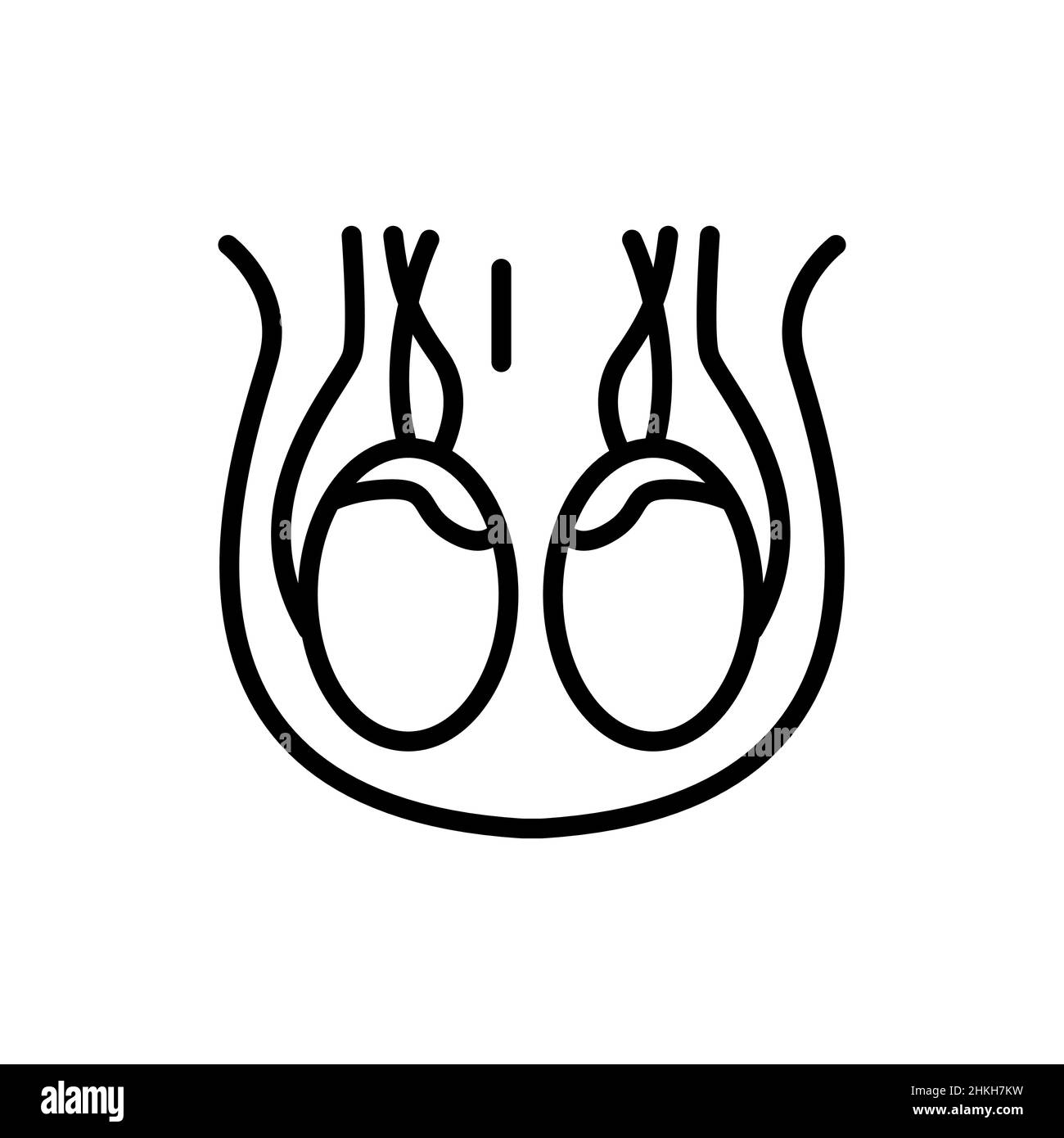 Human organ scrotum color line icon. Isolated vector element. Outline pictogram for web page, mobile app, promo Stock Vector