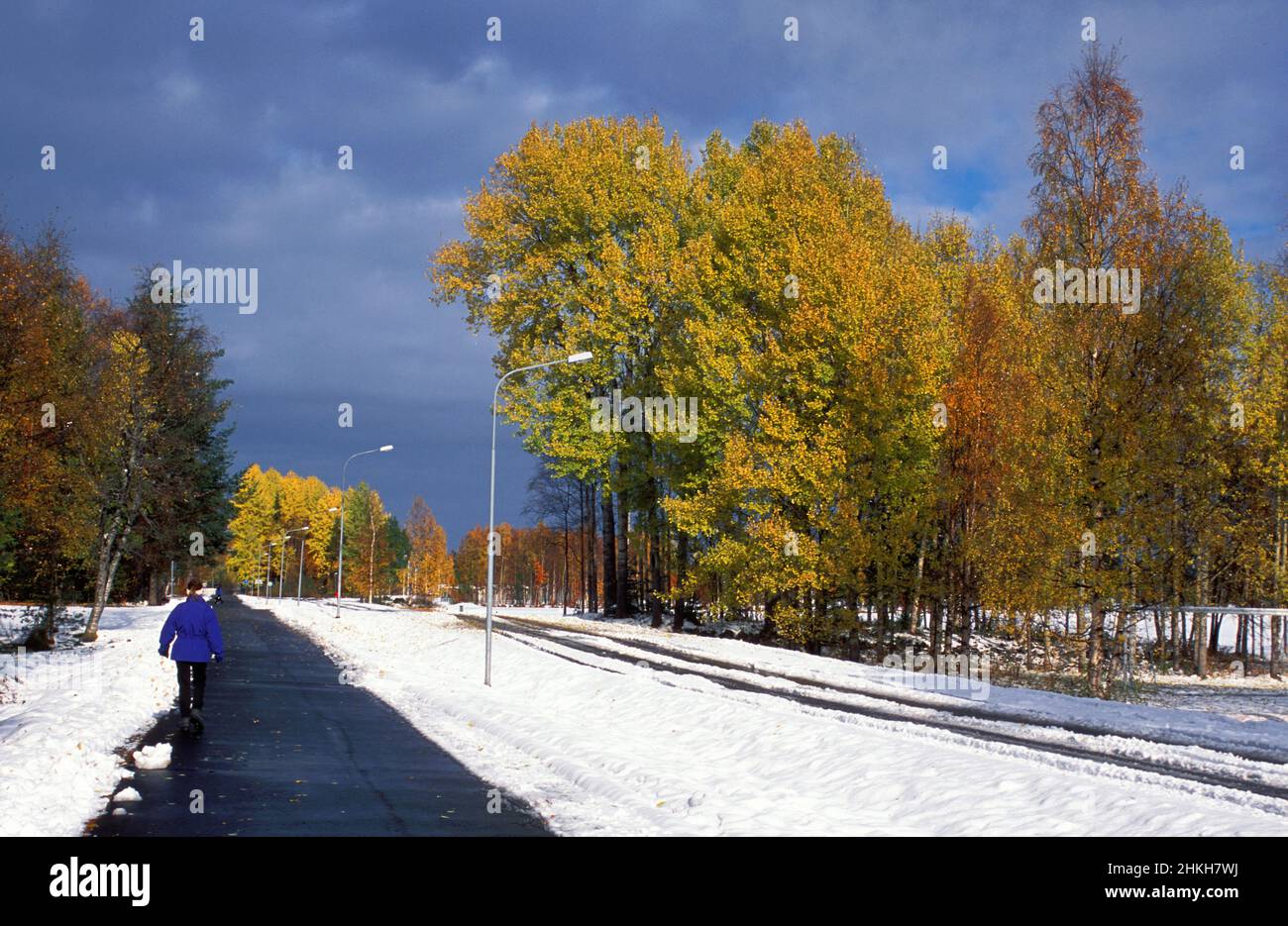 Norrland, Sweden in 2002, analog. Early snow for a day or two while the leaves still were in the trees. Stock Photo