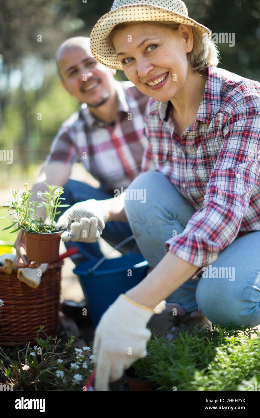 Family work in the garden. Woman and man grow roses Stock Photo