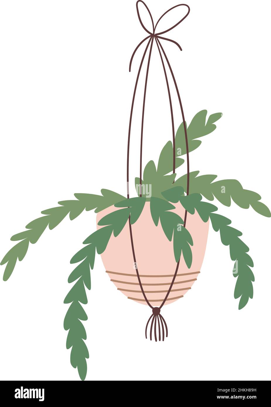 Plant hanging in pot. Vector illustration in a flat style Stock Vector ...