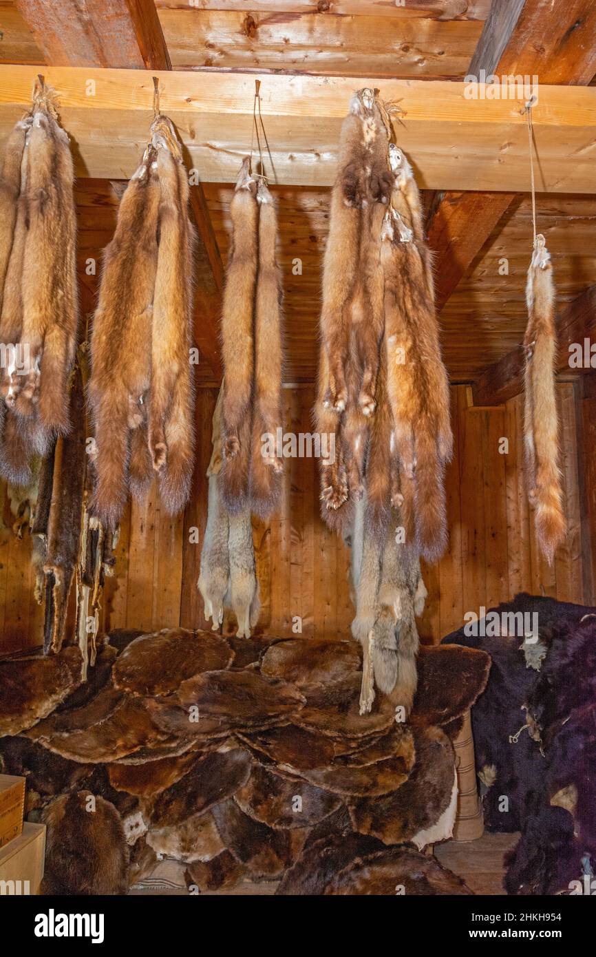 Canada, British Columbia, Fort St. James, General Warehouse and Fur Store (1888-1889), interior, fur pelts Stock Photo