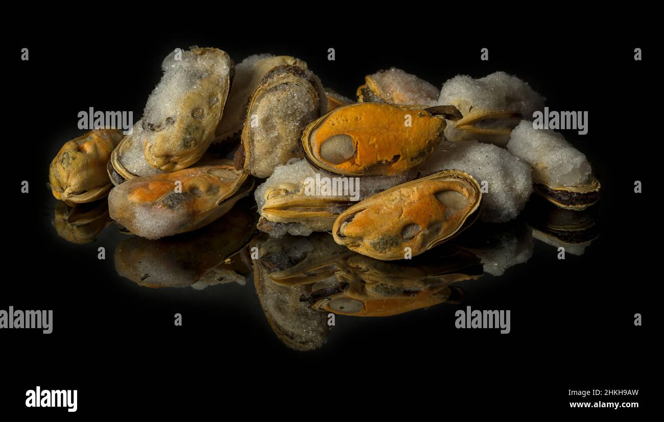 mussels on a black mirror surface with reflections isolated on black background Stock Photo