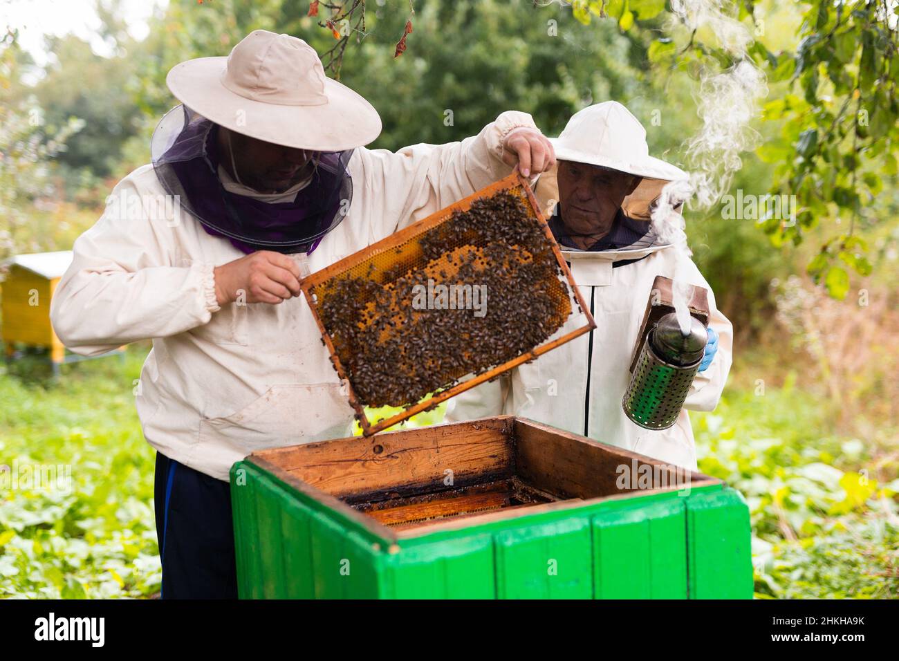 Two apiarists with hive frame Stock Photo