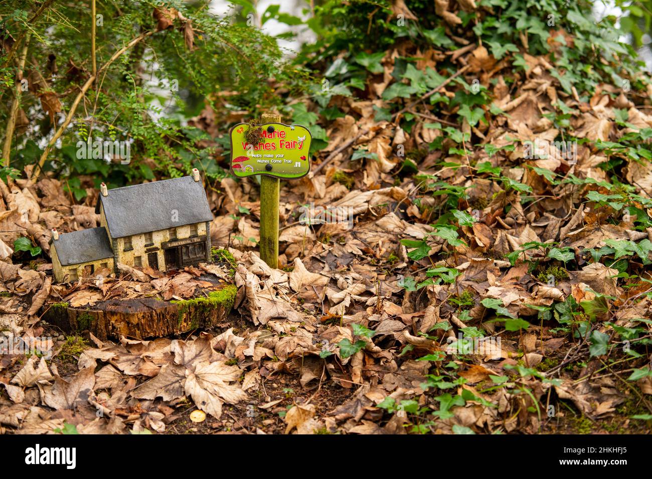 Houses for fairies and gnomes, a colorful town for fairy