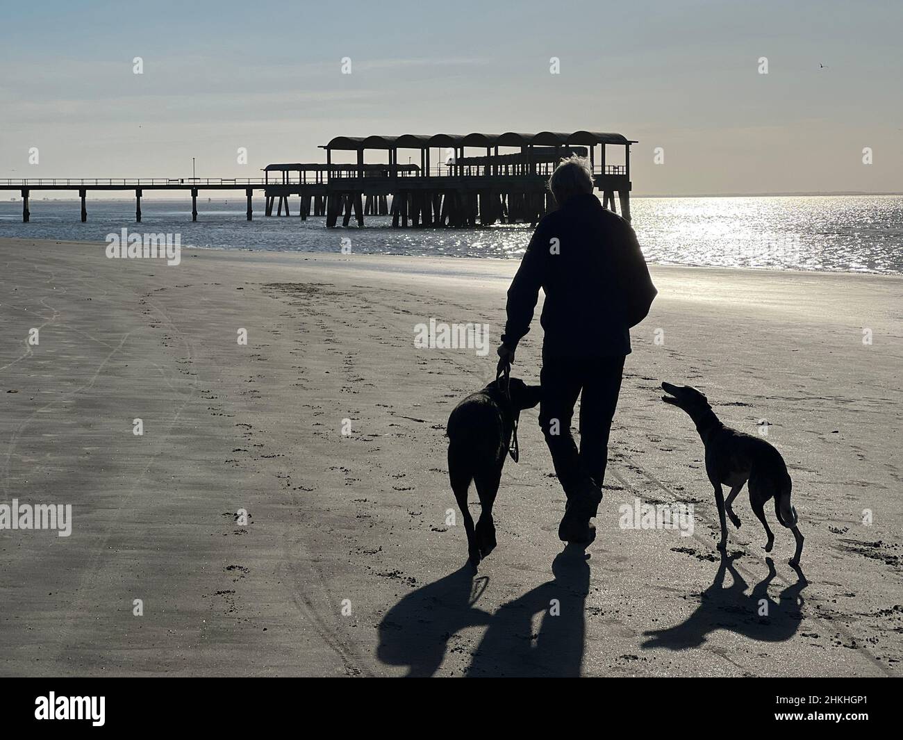 A senior man walks his dogs on the beach near the pier on Jekyll Island, Georgia, USA, a popular luxury slow travel destination. Stock Photo