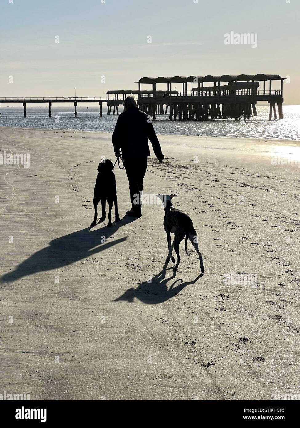 A senior man walks his dogs on the beach near the pier on Jekyll Island, Georgia, USA, a popular luxury slow travel destination. Stock Photo