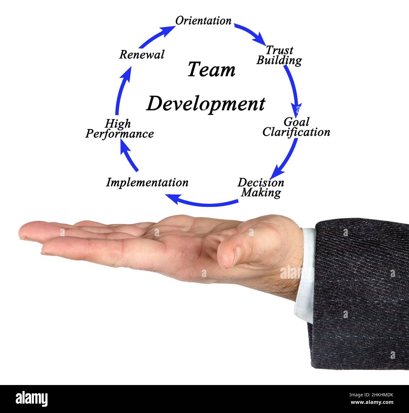 Seven components of Team Development Stock Photo