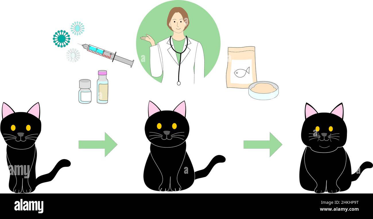 medicine for sick cat