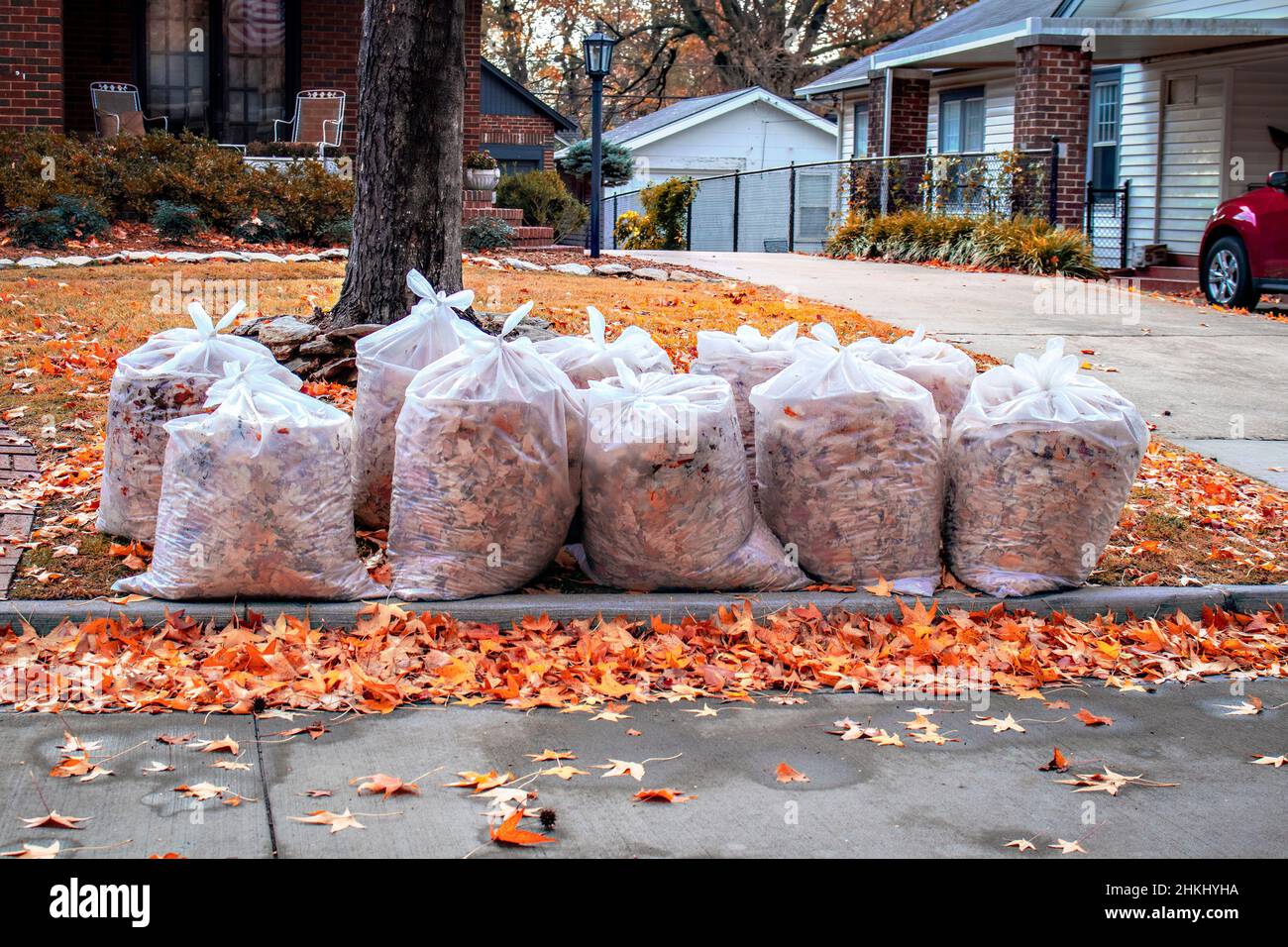https://c8.alamy.com/comp/2HKHYHA/rows-of-clear-bags-of-autumn-leaves-with-more-maple-leaves-scatterd-on-yard-and-in-street-after-a-rain-in-residential-neighborhood-with-car-in-neighbo-2HKHYHA.jpg