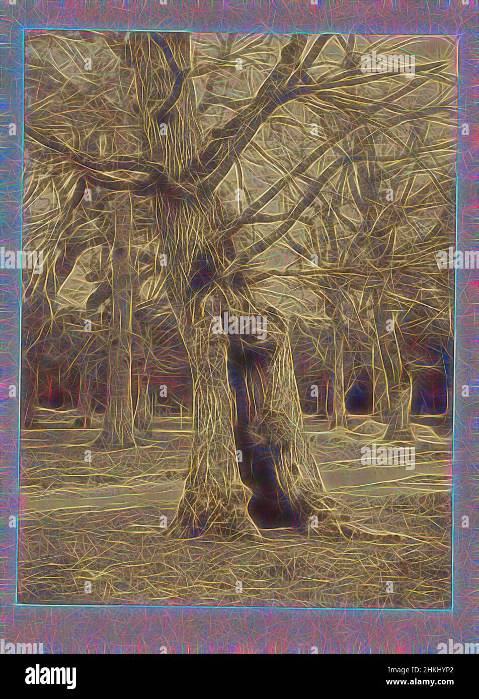 Inspired by tree, c. 1850 - c. 1870, albumen print, height 253 mm × width 191 mm, Reimagined by Artotop. Classic art reinvented with a modern twist. Design of warm cheerful glowing of brightness and light ray radiance. Photography inspired by surrealism and futurism, embracing dynamic energy of modern technology, movement, speed and revolutionize culture Stock Photo
