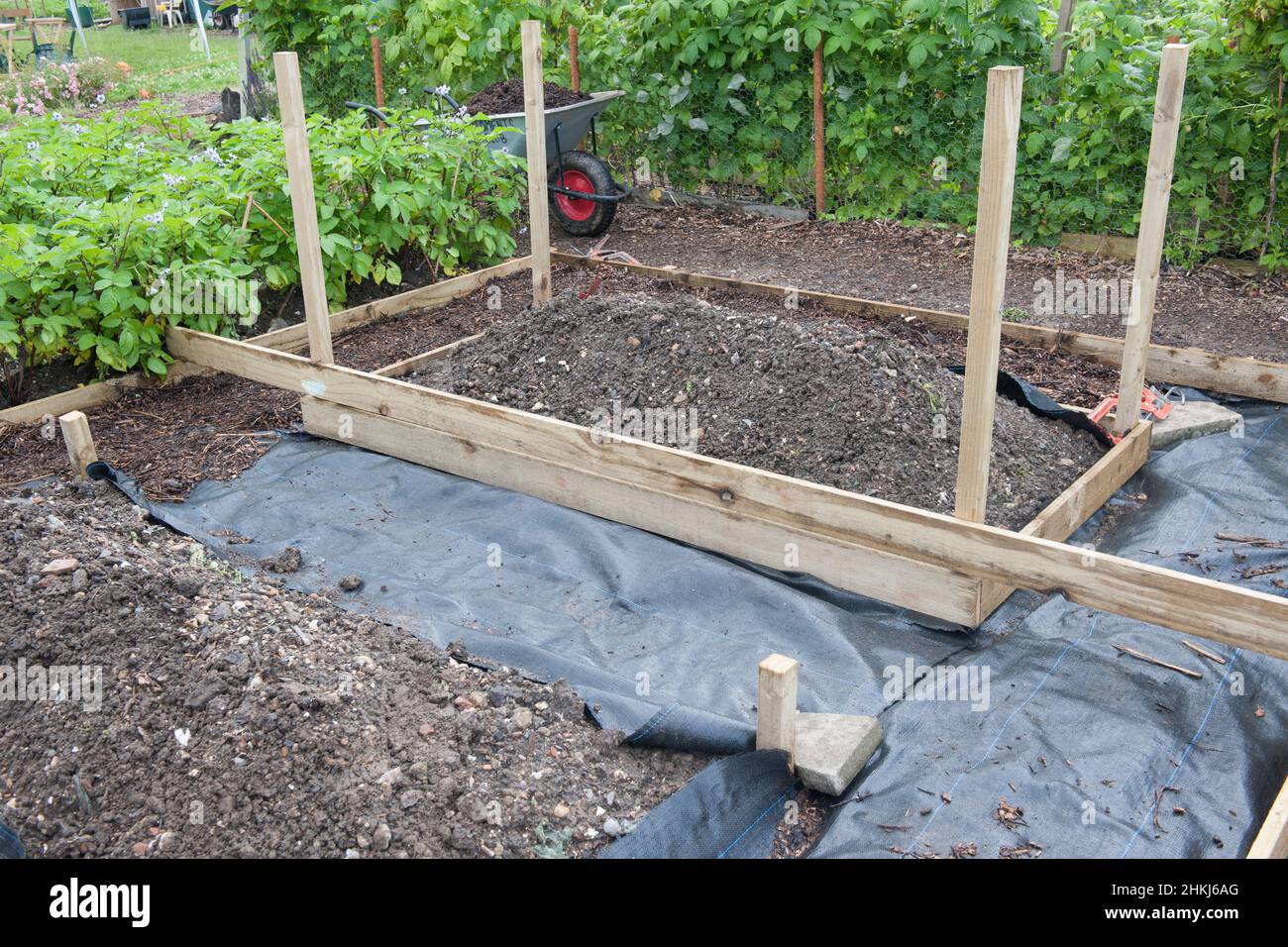 How To Make A Raised Bed For Allotment at Waldo Alline blog