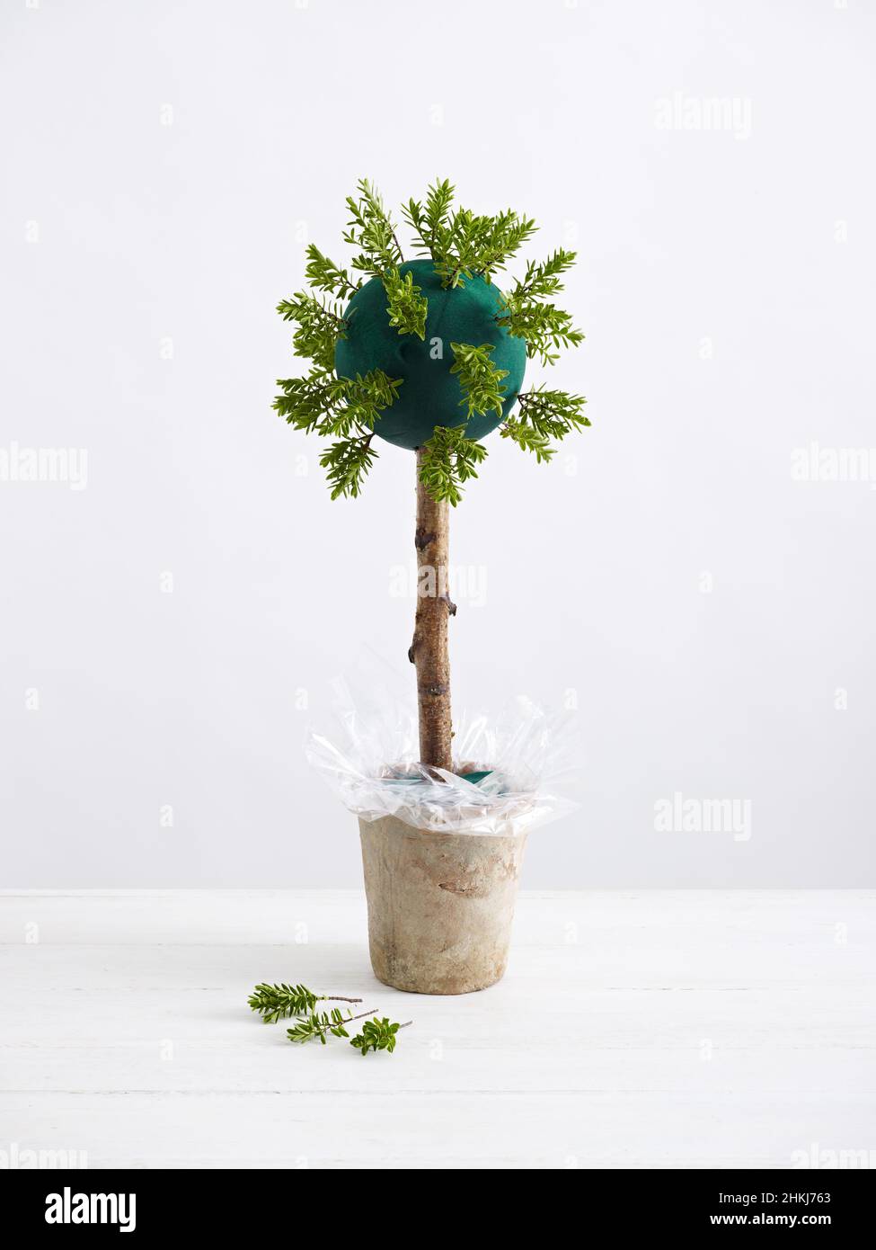 Creating A Topiary Tree Stock Photo Alamy