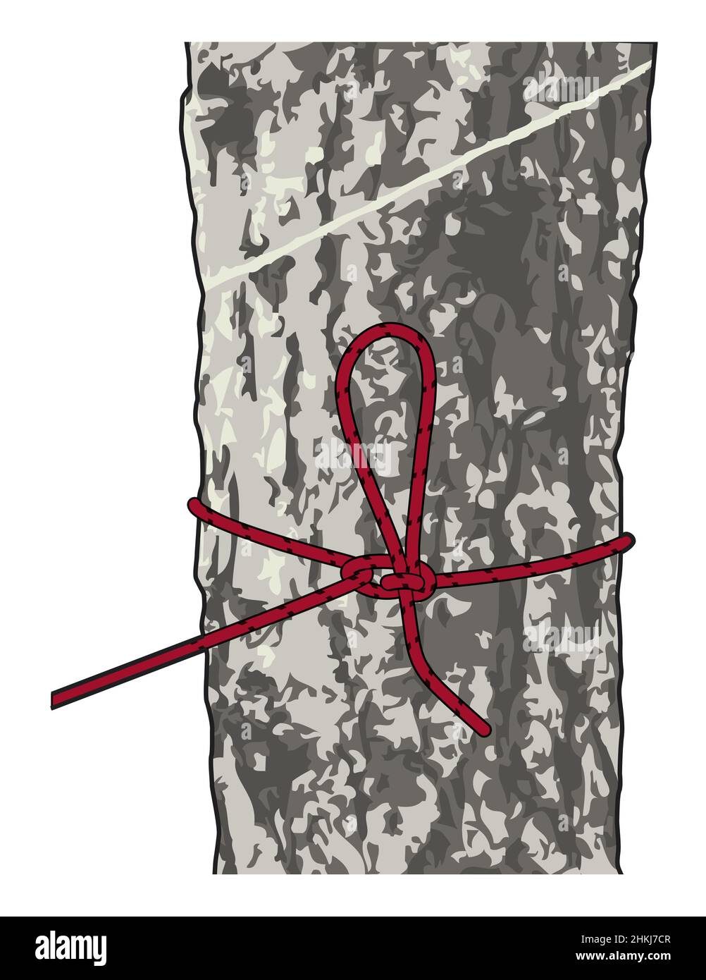 Siberian hitch knot, illustration Stock Photo Alamy