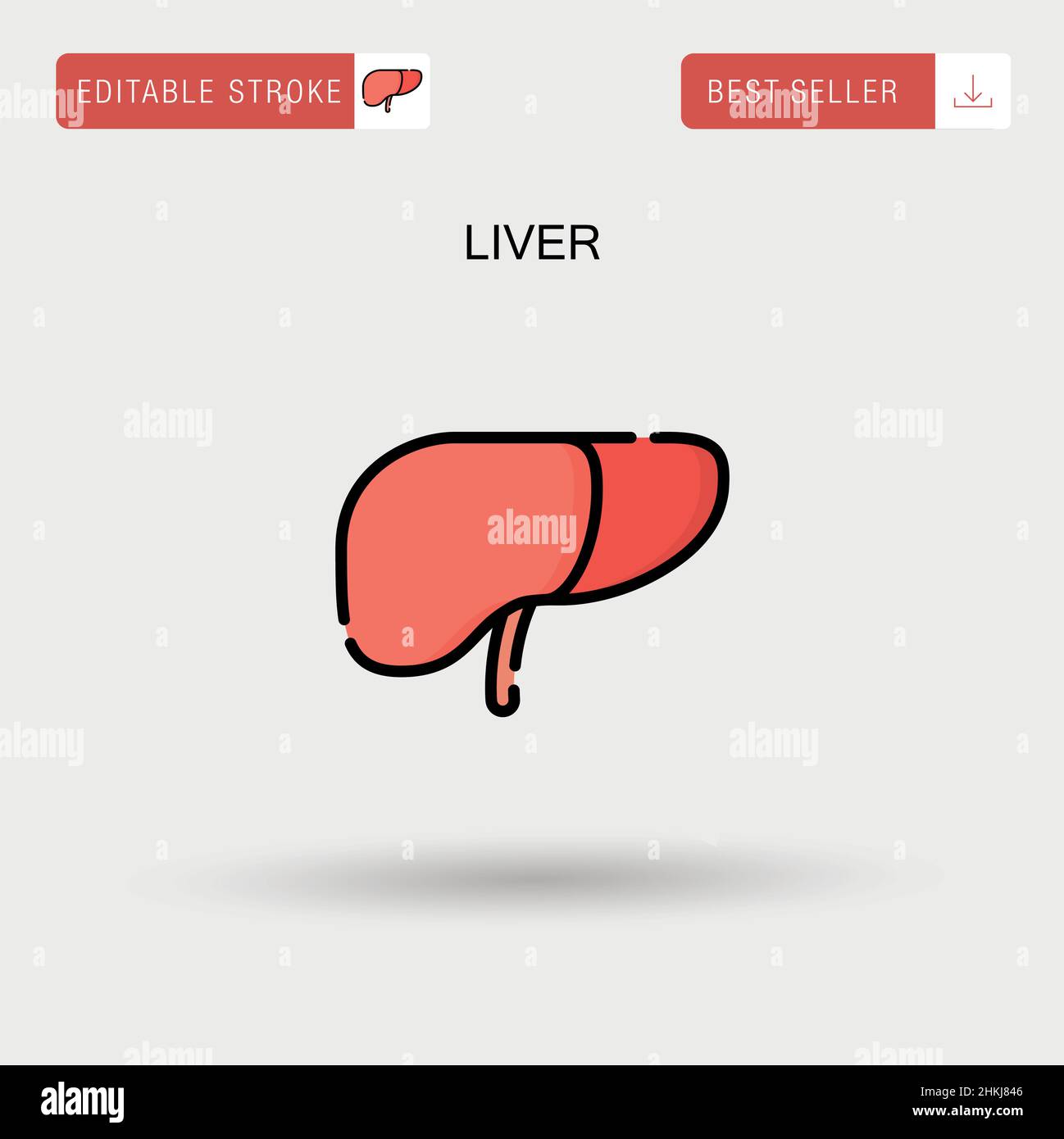 Fatty liver anatomy hi-res stock photography and images - Alamy