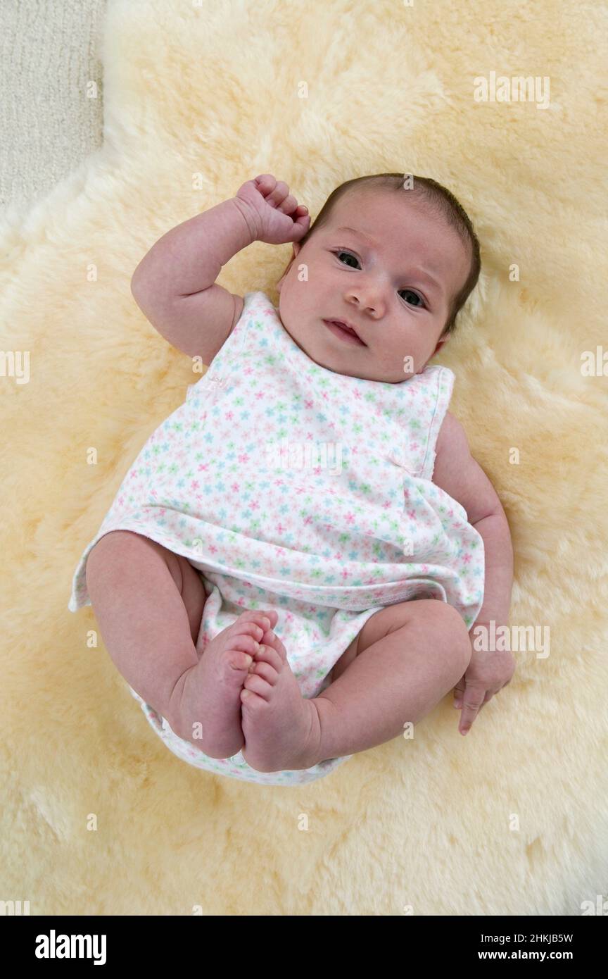 7weekold baby girl lying on sheepskin Stock Photo Alamy