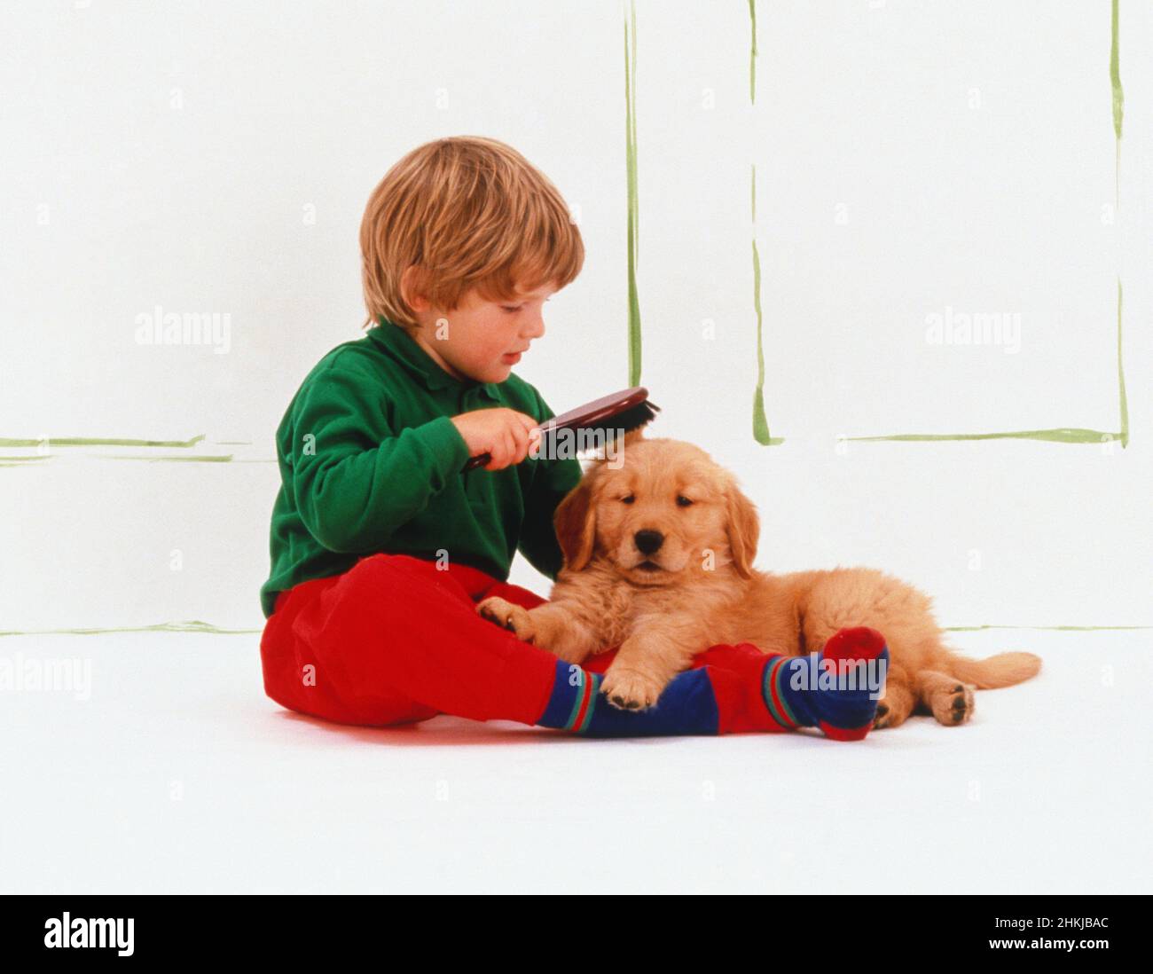Boy sitting on floor brushing a Golden Retriever puppy Stock Photo Alamy