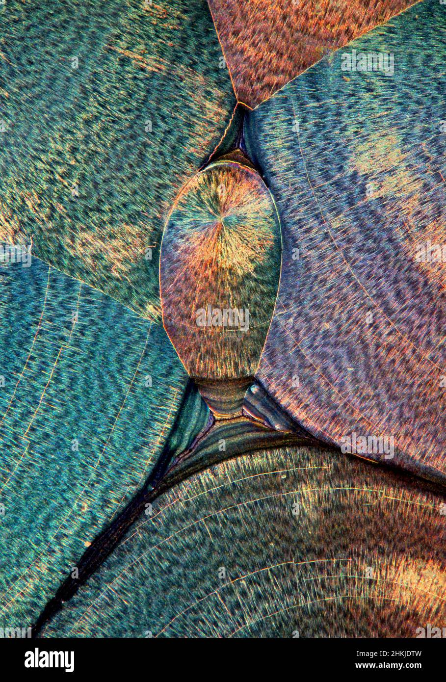 Vitamin C, polarised light micrograph Stock Photo
