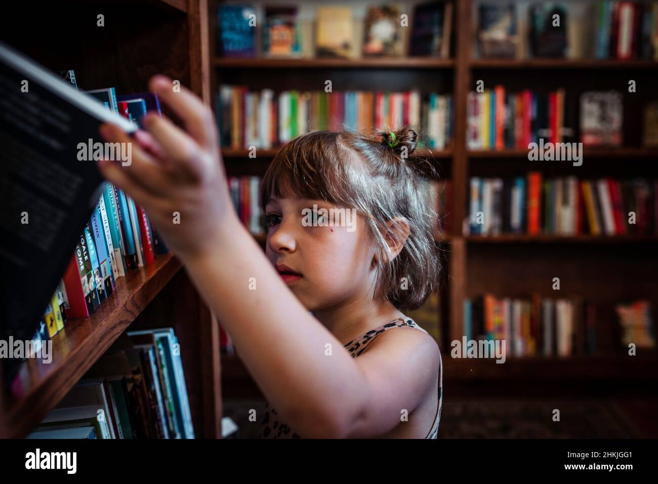 Child at library bookstore looking at books Stock Photo