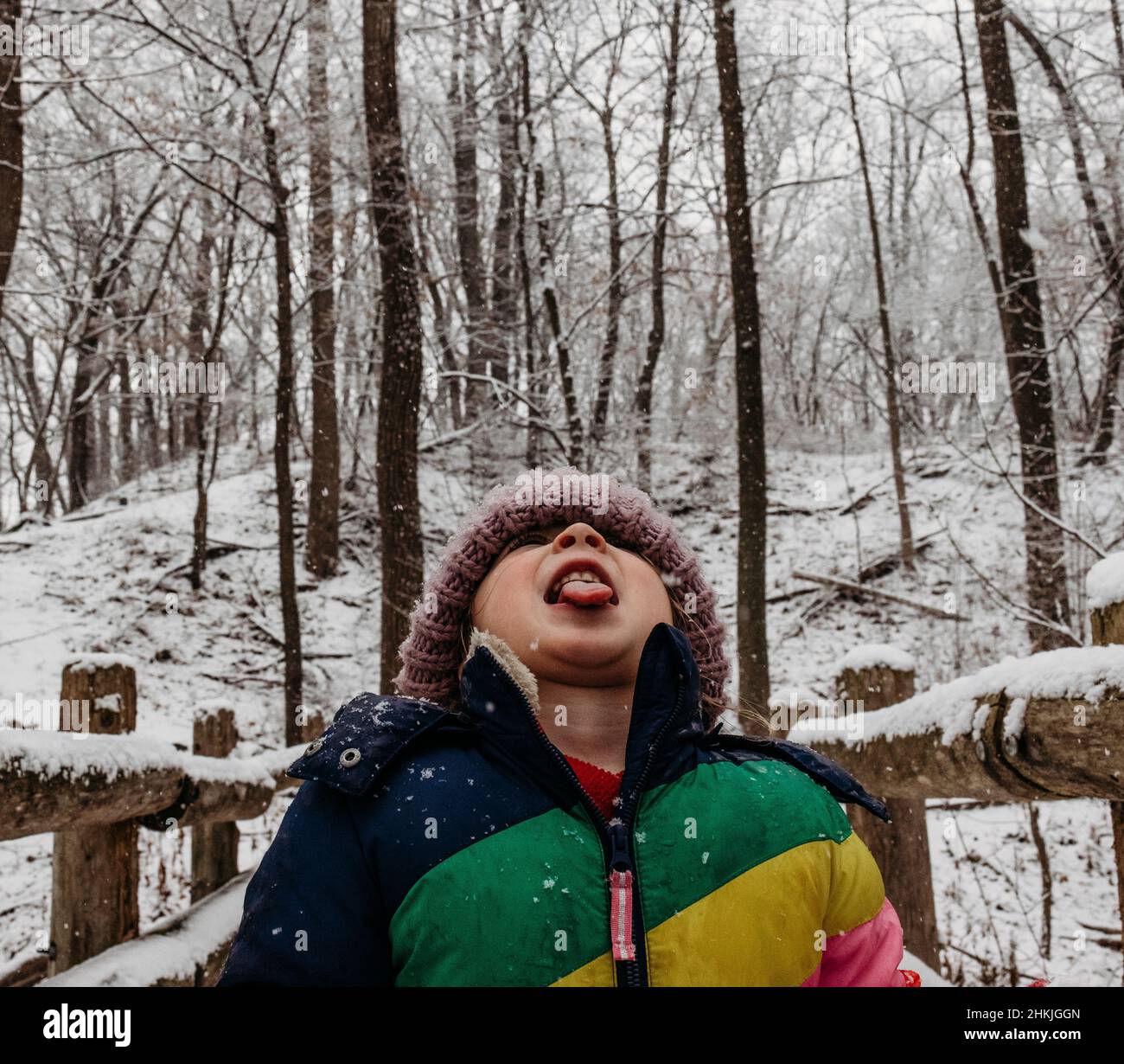 Kid catching snowflakes with tongue in the woods Stock Photo