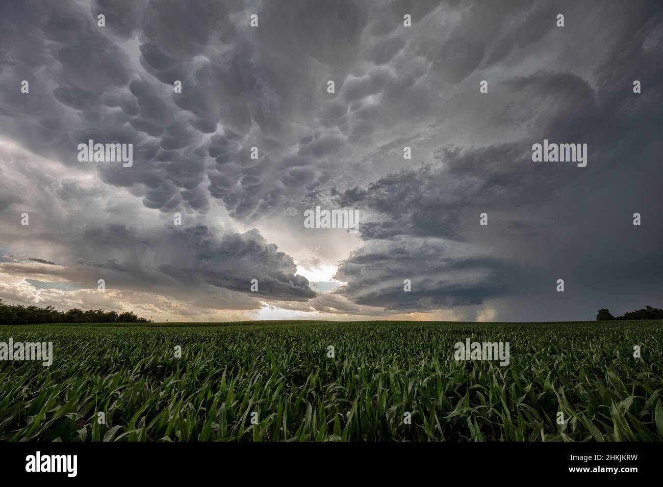 Supercell thunderstorm and mammatus clouds in Kansas, USA Stock Photo ...