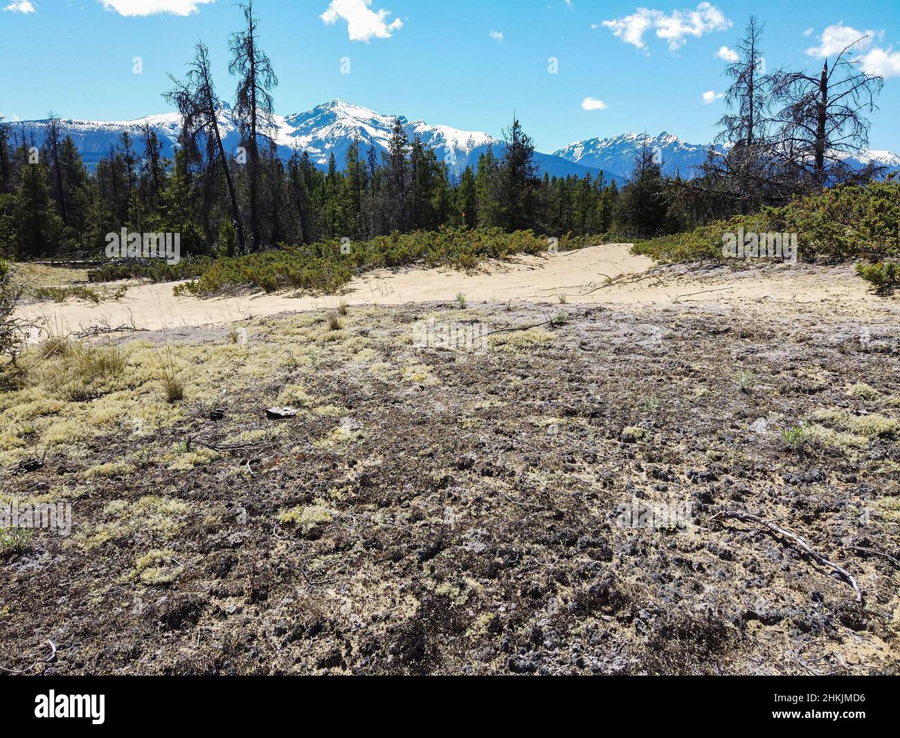 Jackman Flats BC Stock Photo Alamy