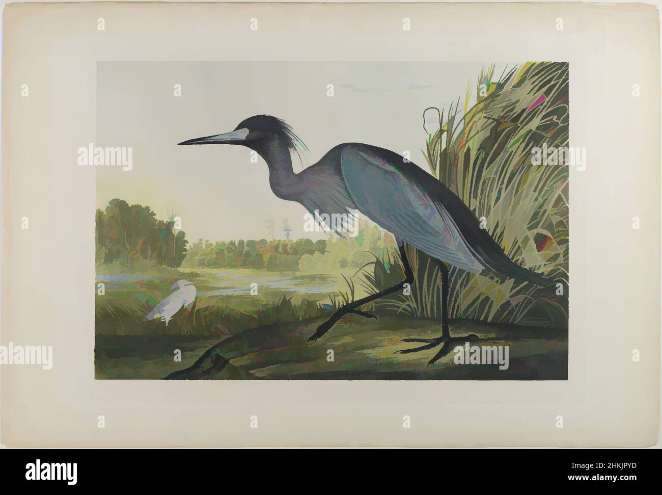 Art inspired by Blue Crane or Heron, John James Audubon, American, born Haiti, 1785-1851, Chromolithograph, 1861, sheet: 27 x 39 3/4 in., 68.6 x 101.0 cm;, Ardea coerula, birds, Charleston, fauna, flora, grasses, nature study, ornithology, South Carolina, trees, water, waterfowl, Classic works modernized by Artotop with a splash of modernity. Shapes, color and value, eye-catching visual impact on art. Emotions through freedom of artworks in a contemporary way. A timeless message pursuing a wildly creative new direction. Artists turning to the digital medium and creating the Artotop NFT Stock Photo