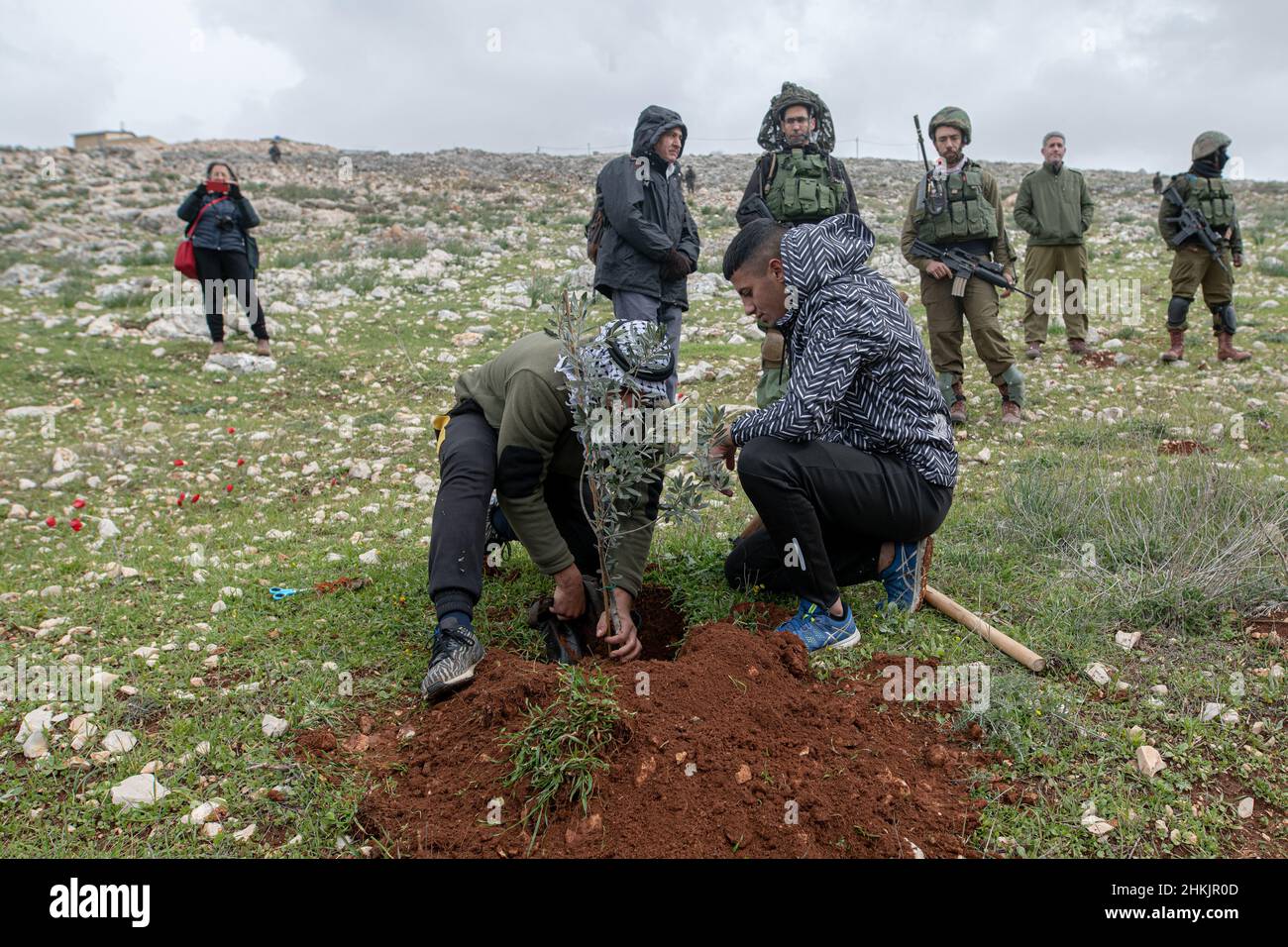 Burin, Palestine. 04th Feb, 2022.  Credit: Matan Golan/Alamy Live News Stock Photo