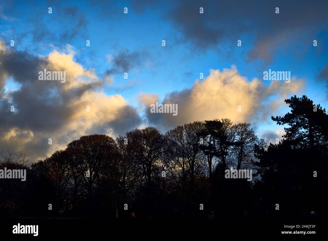Moody evening sky over tree silhouette skyline Stock Photo - Alamy