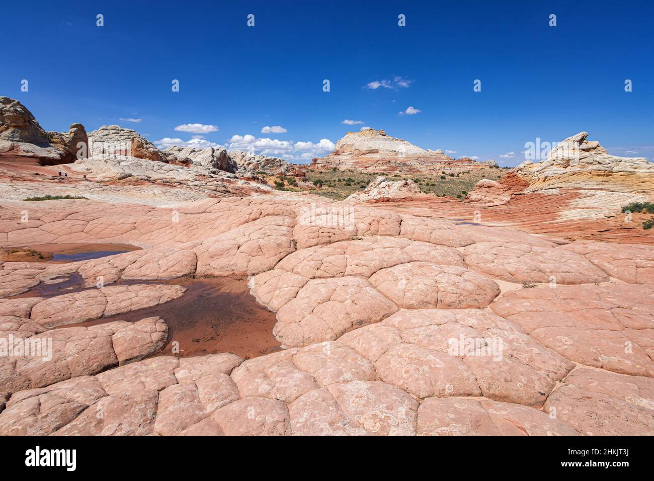 Page Rocks Utah Rock Formation in White Pocket, Utah Stock Photo - Alamy