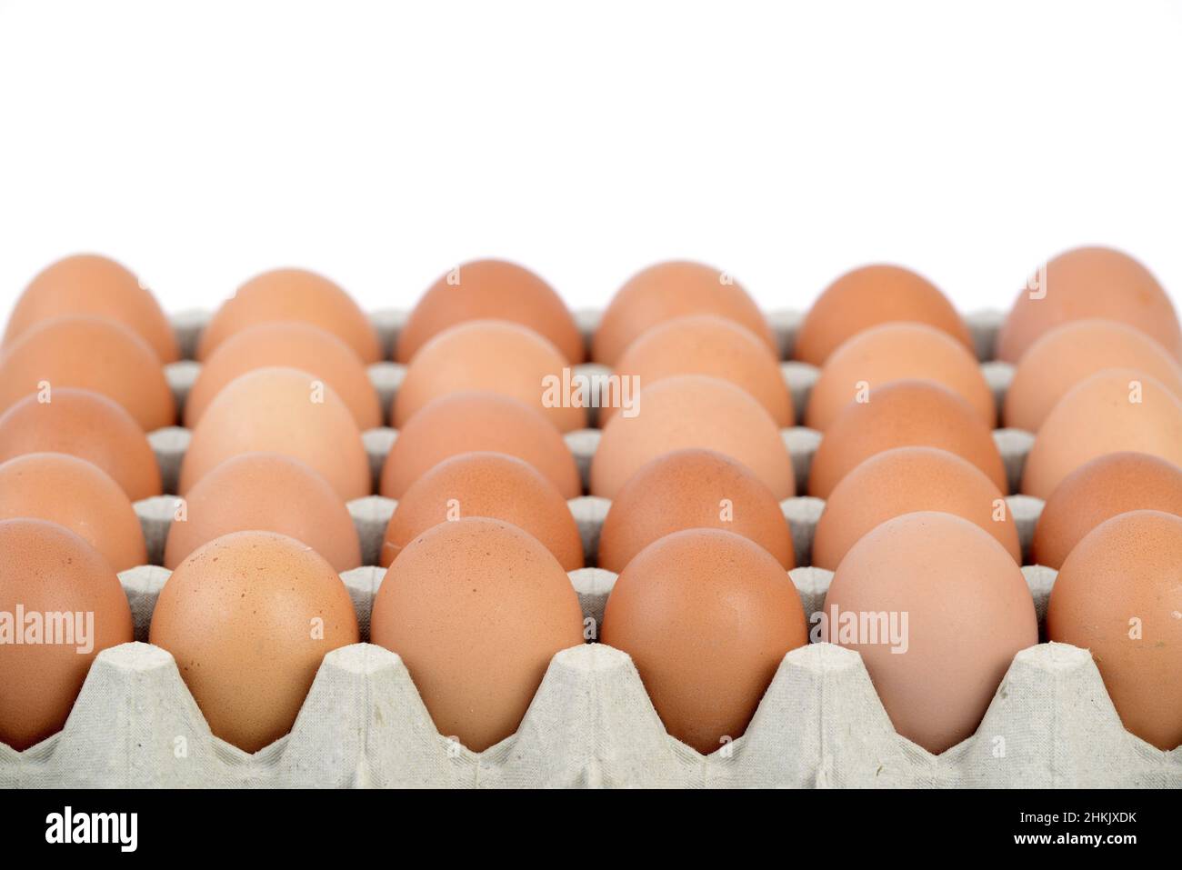 fresh brown eggs on an egg tray Stock Photo