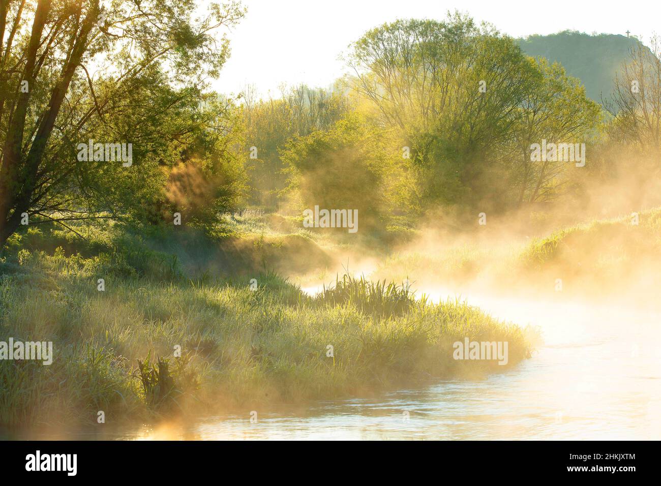 ecological restoration along river Eau Blanche, Belgium, Viroinval, Eau Blanche, Dourbes Stock Photo