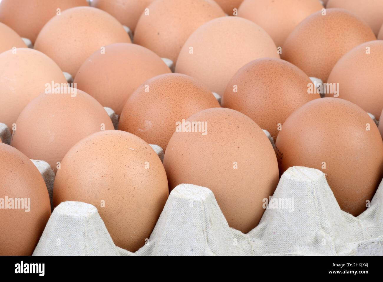 fresh brown eggs on an egg tray Stock Photo
